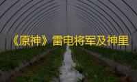 《原神》雷电将军及神里绫人培养指南
